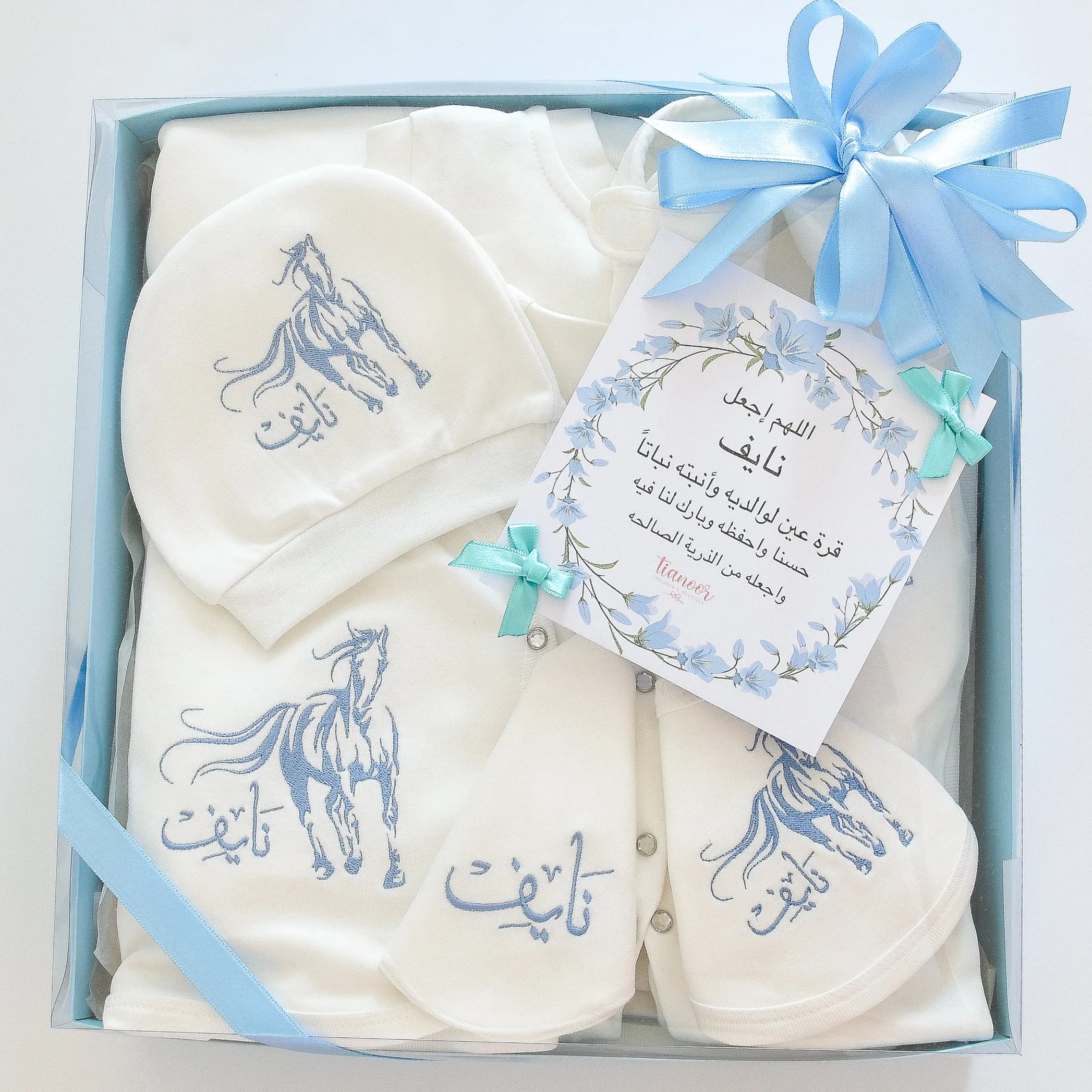 Arabian Horse Baby Boy Coming Home Embroidered Set