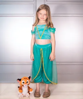 The Arabian Princess Costume Dress